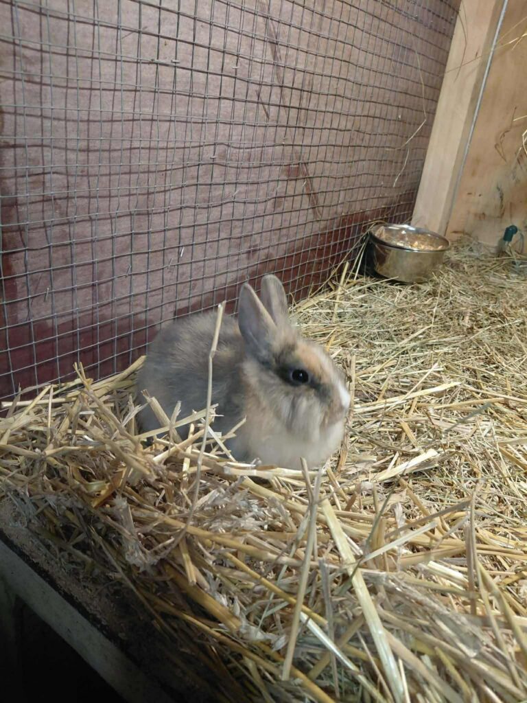 att.GTmFH5llr1tkApk3TTzuZXT-YKBPOecE2nRKl6NoxKg